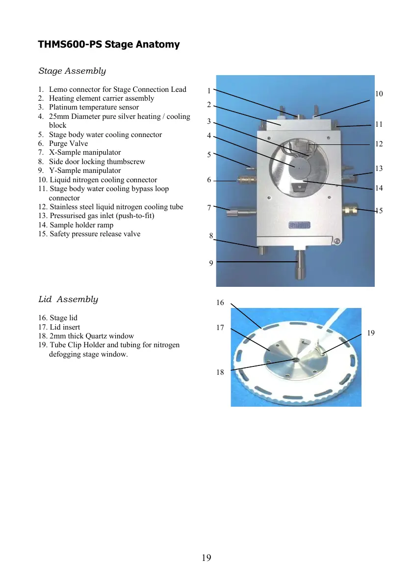 Page #19 background image