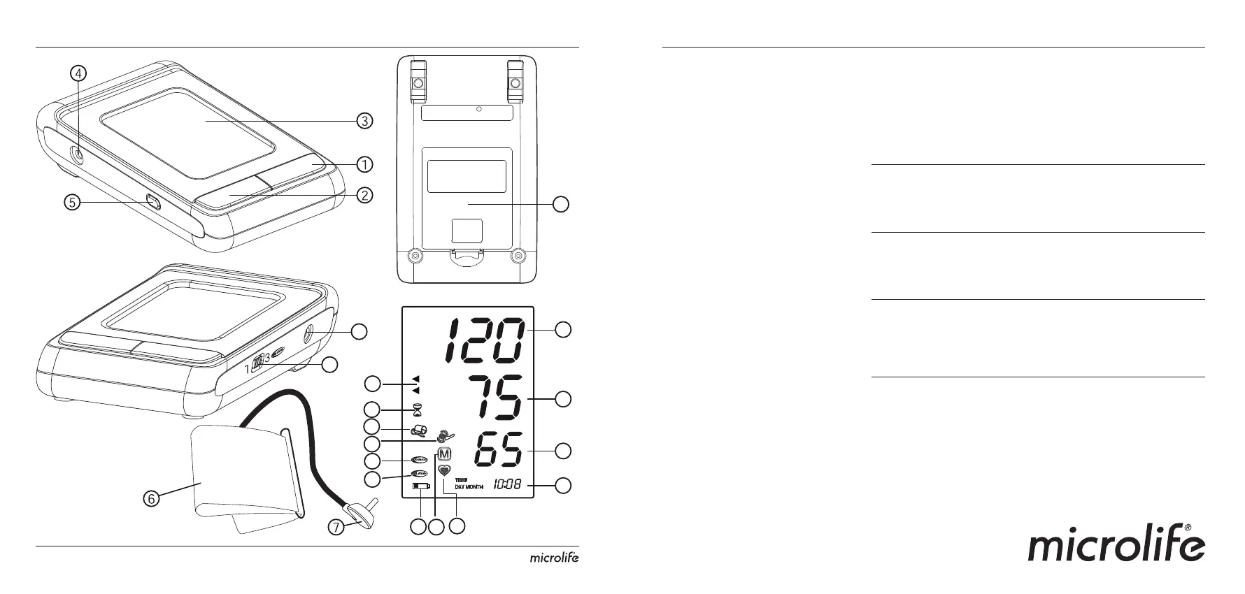 Page #2 background image