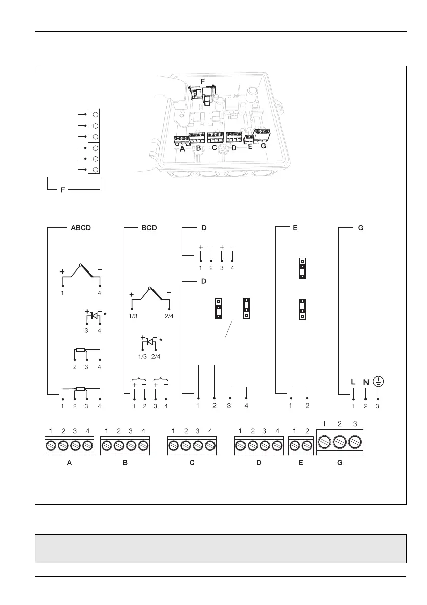 Page #19 background image