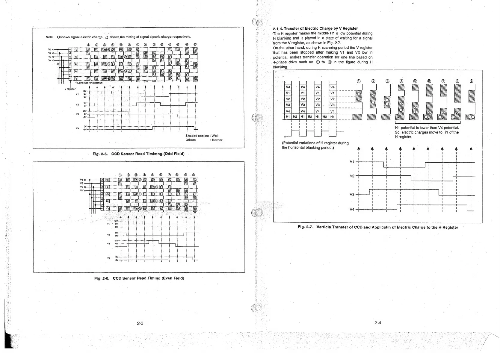 Page #5 background image