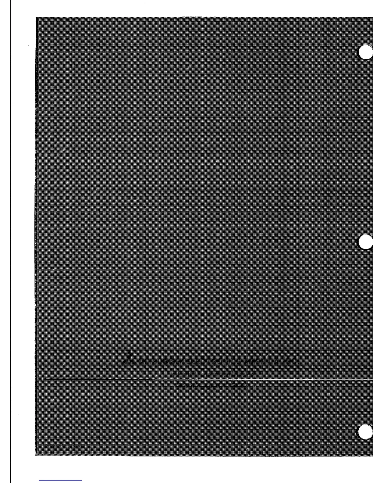 Page #161 background image