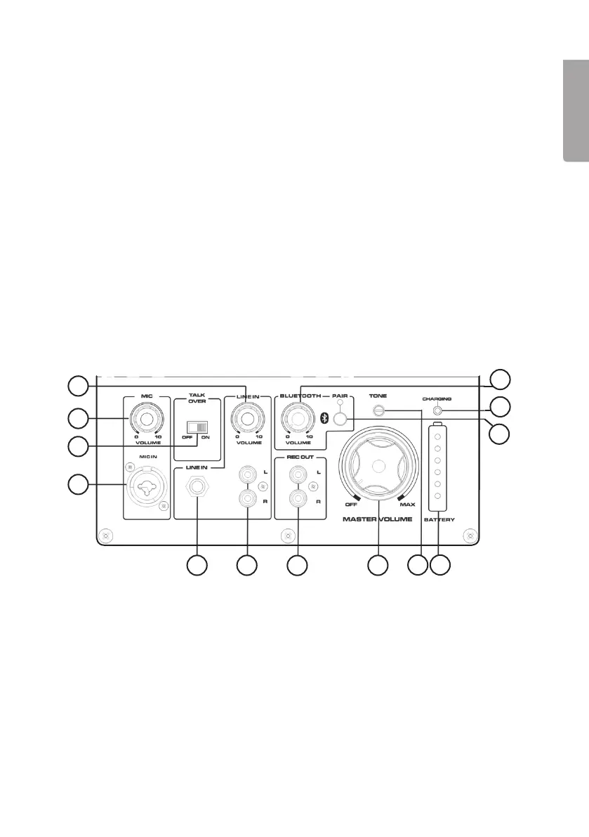 Page #5 background image