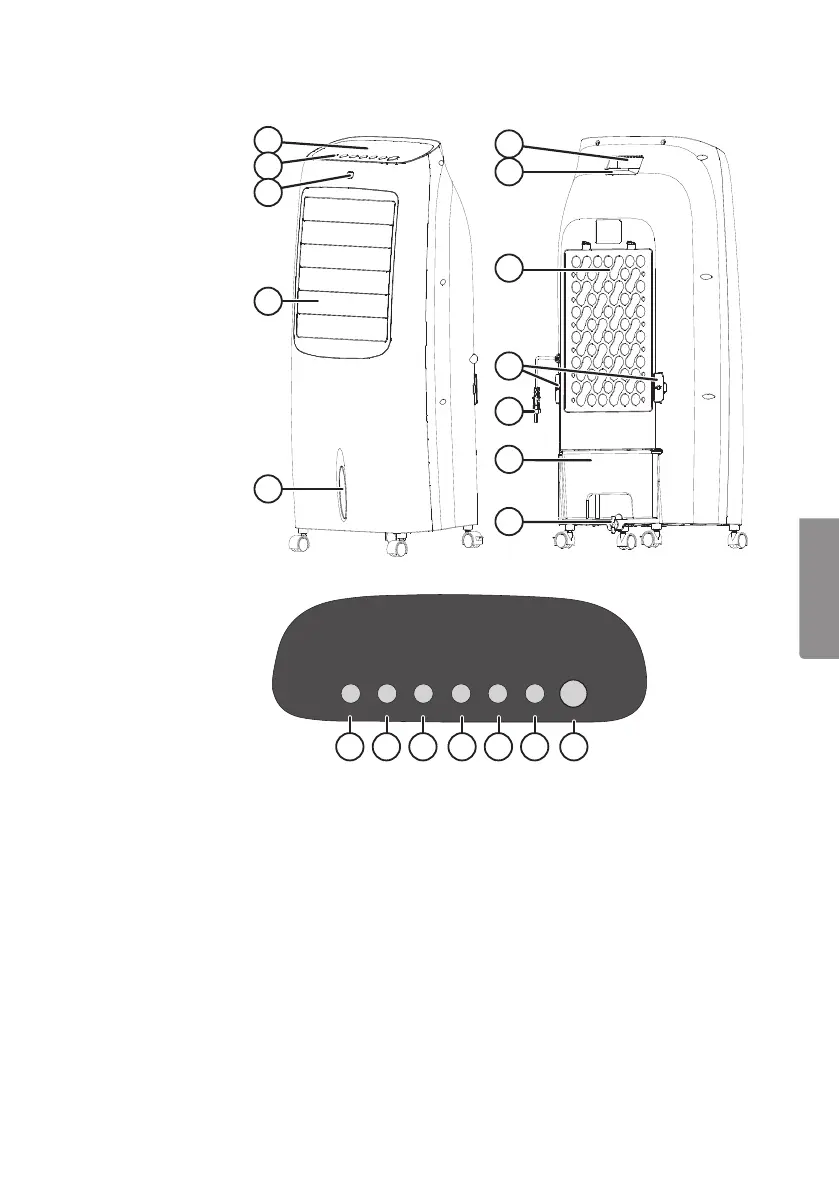 Page #21 background image