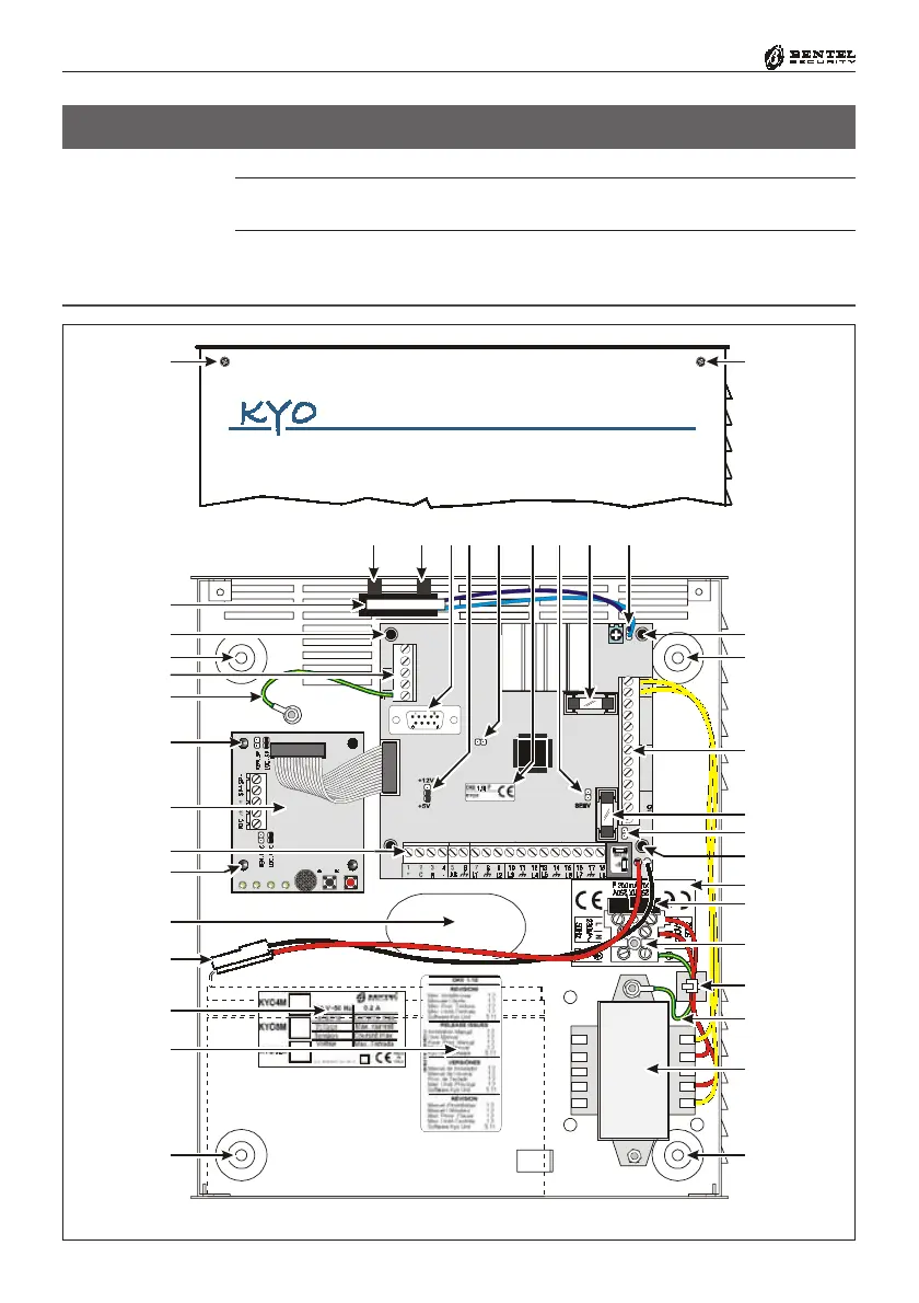 Page #10 background image