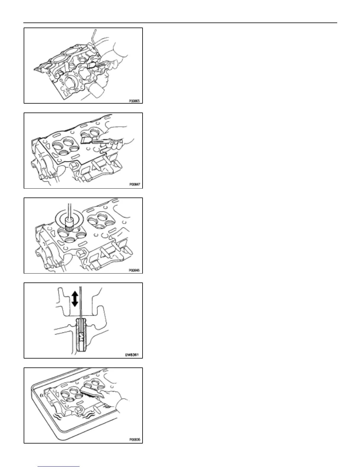 Page #61 background image