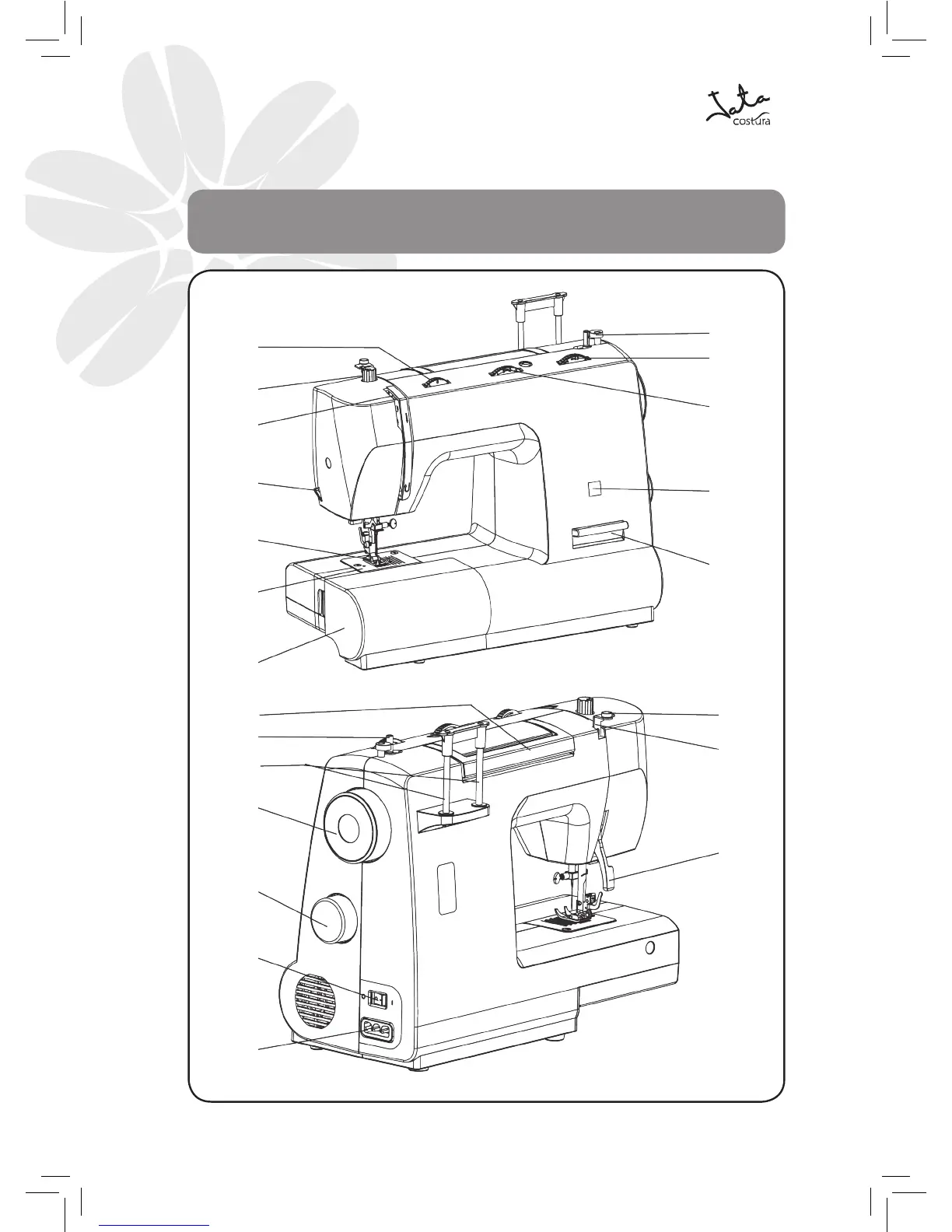 Page #6 background image