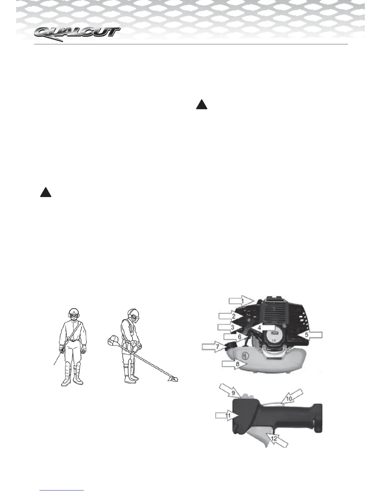 Page #10 background image