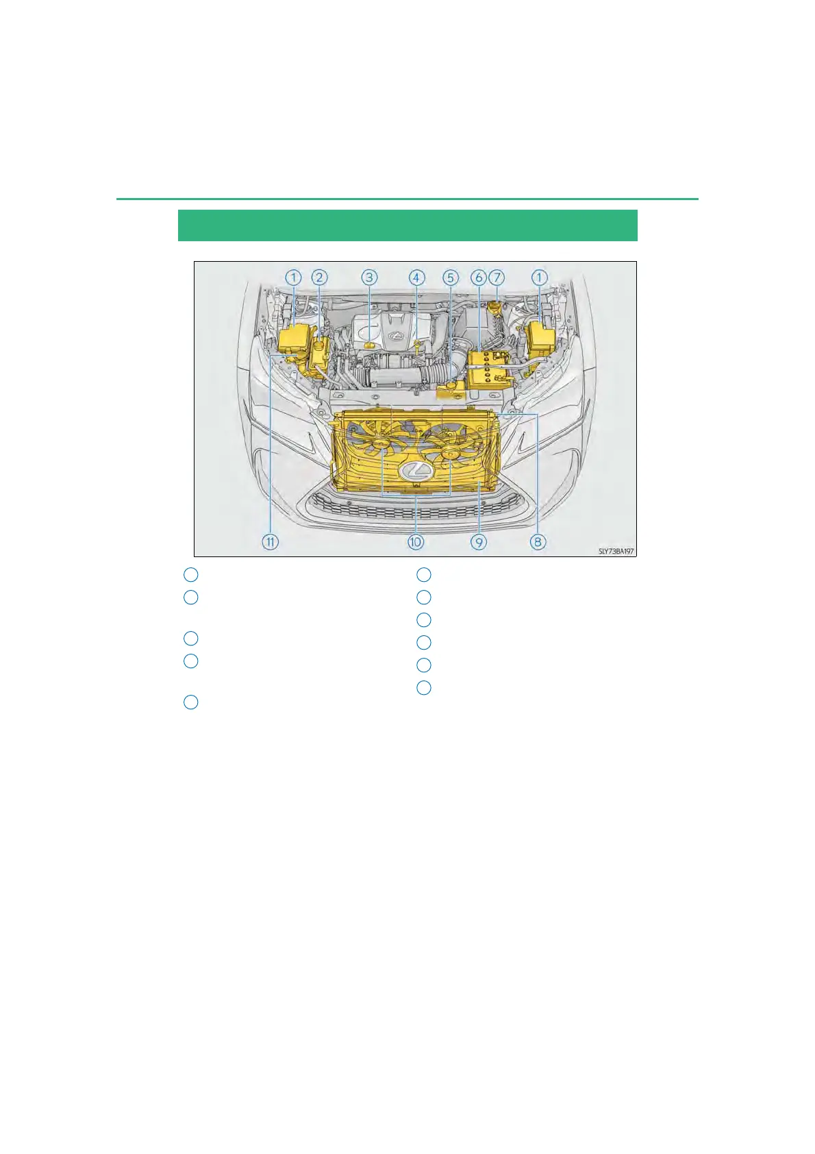 Page #513 background image