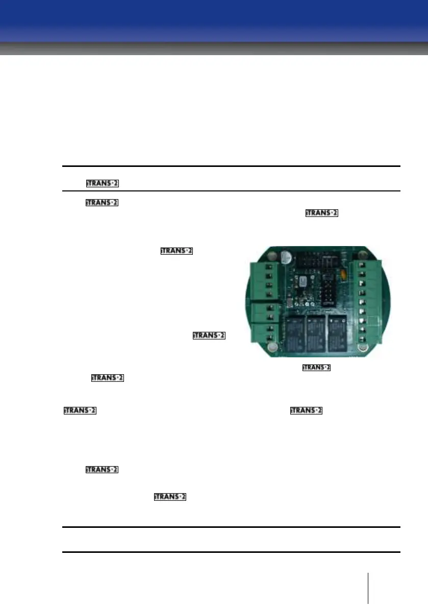 Page #69 background image