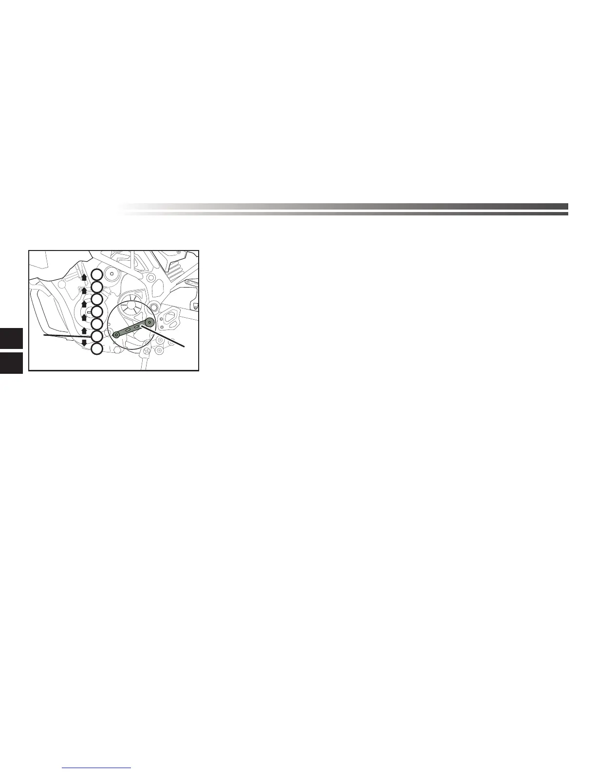 Page #225 background image