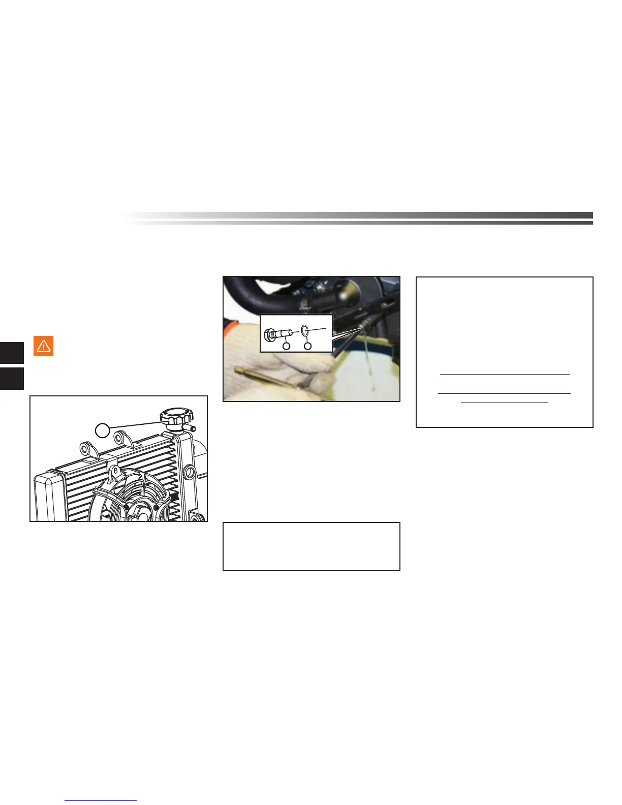Page #241 background image