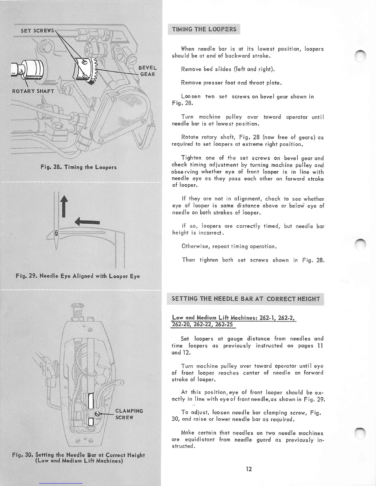 Page #12 background image