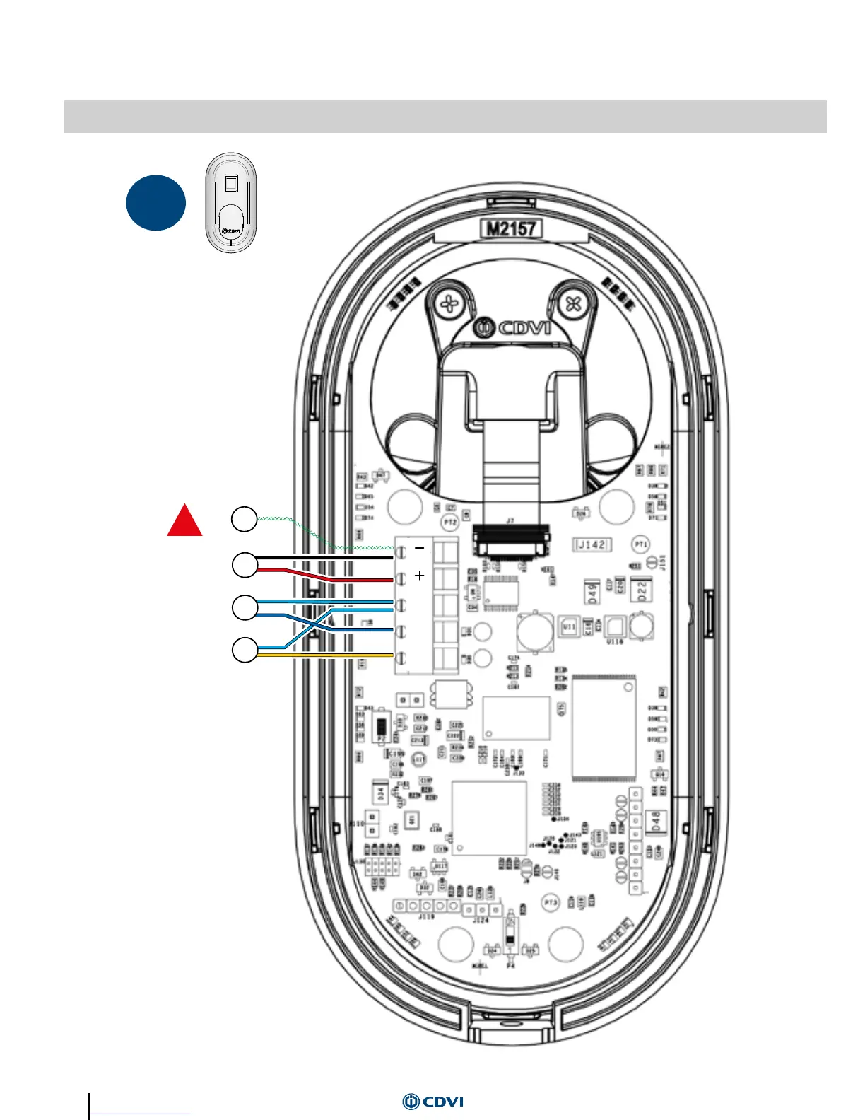 Page #4 background image