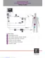 Preview: Setup Guide