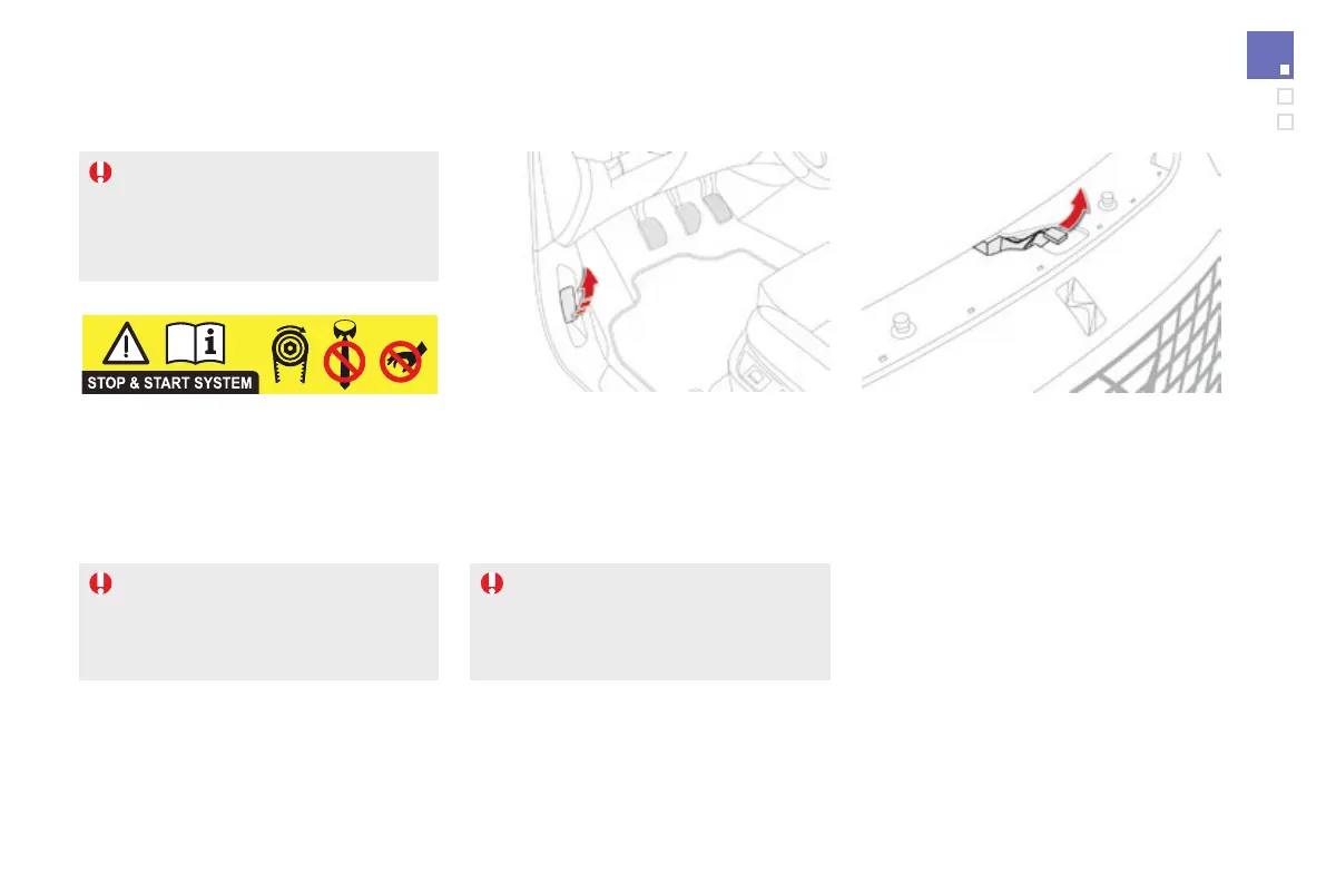 Page #245 background image