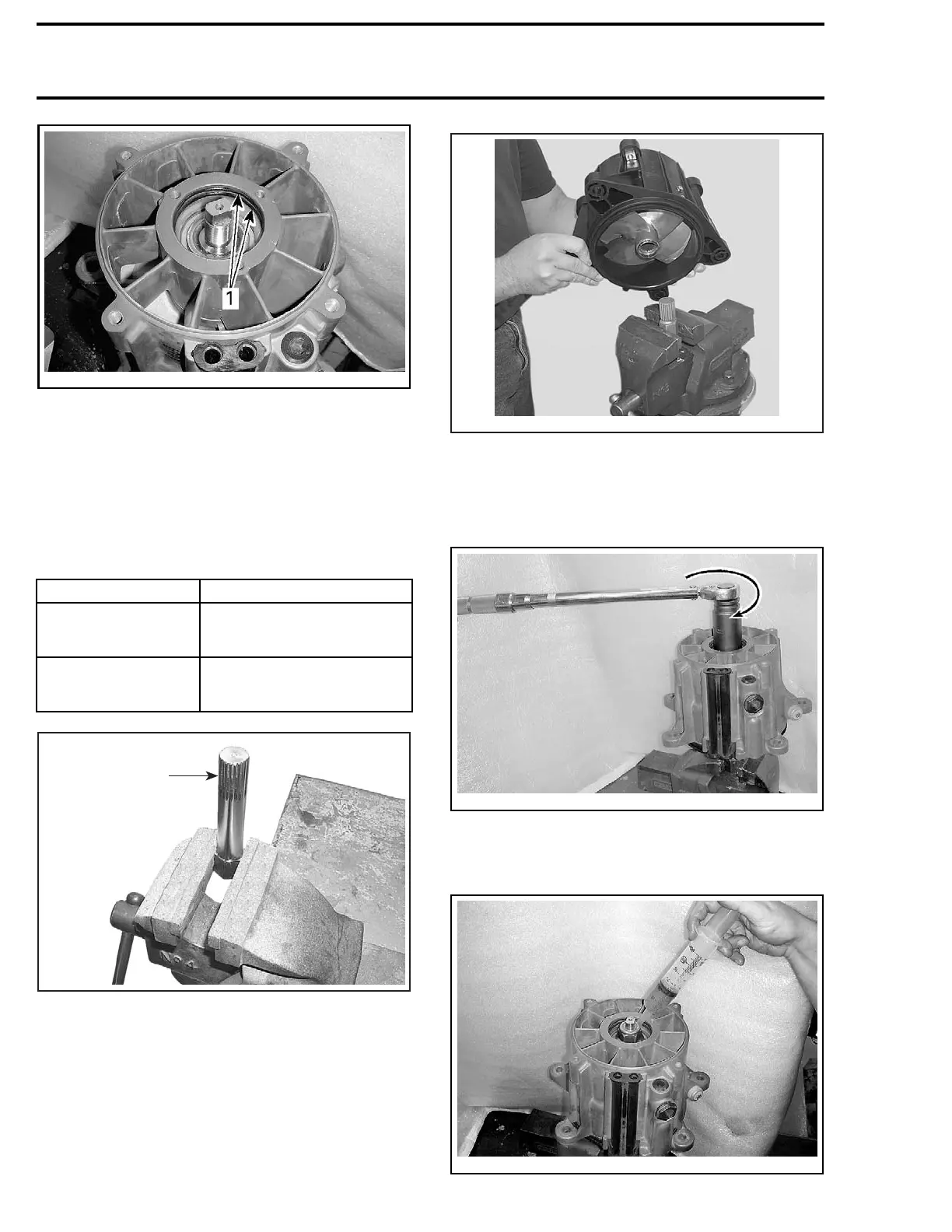 Page #447 background image