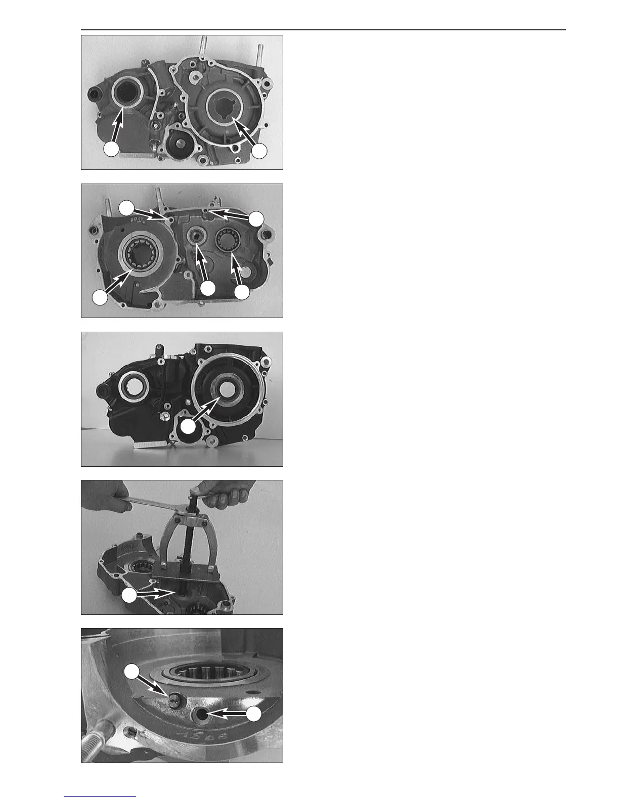 Page #61 background image