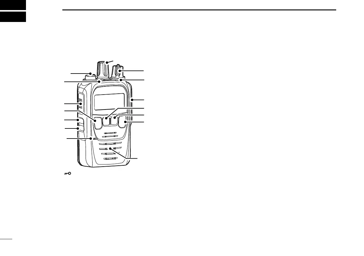 Page #10 background image