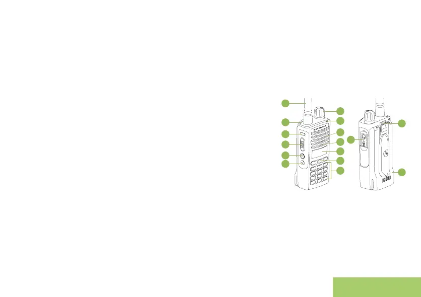 Page #3 background image