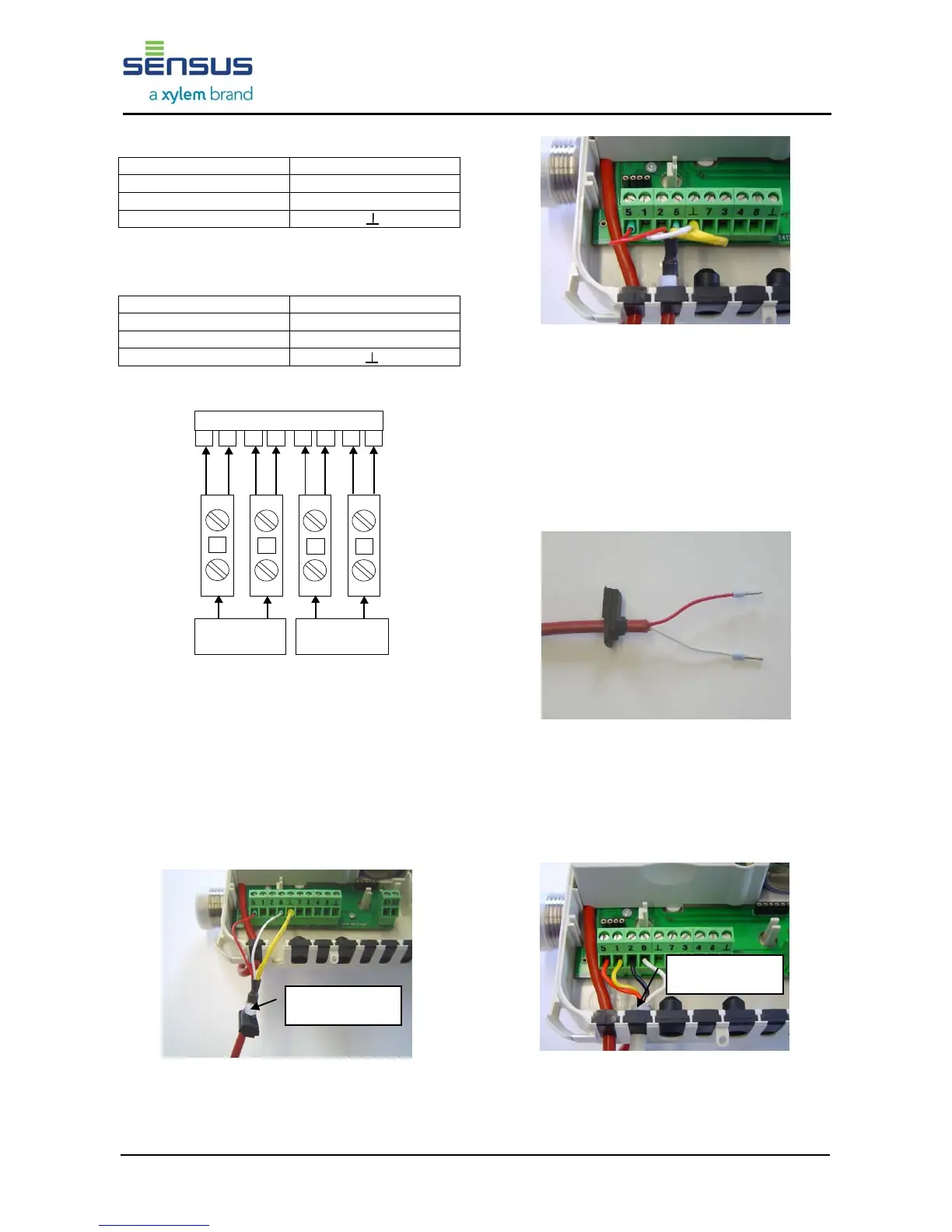 Page #6 background image