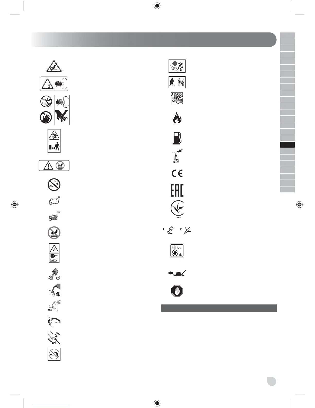 Page #219 background image
