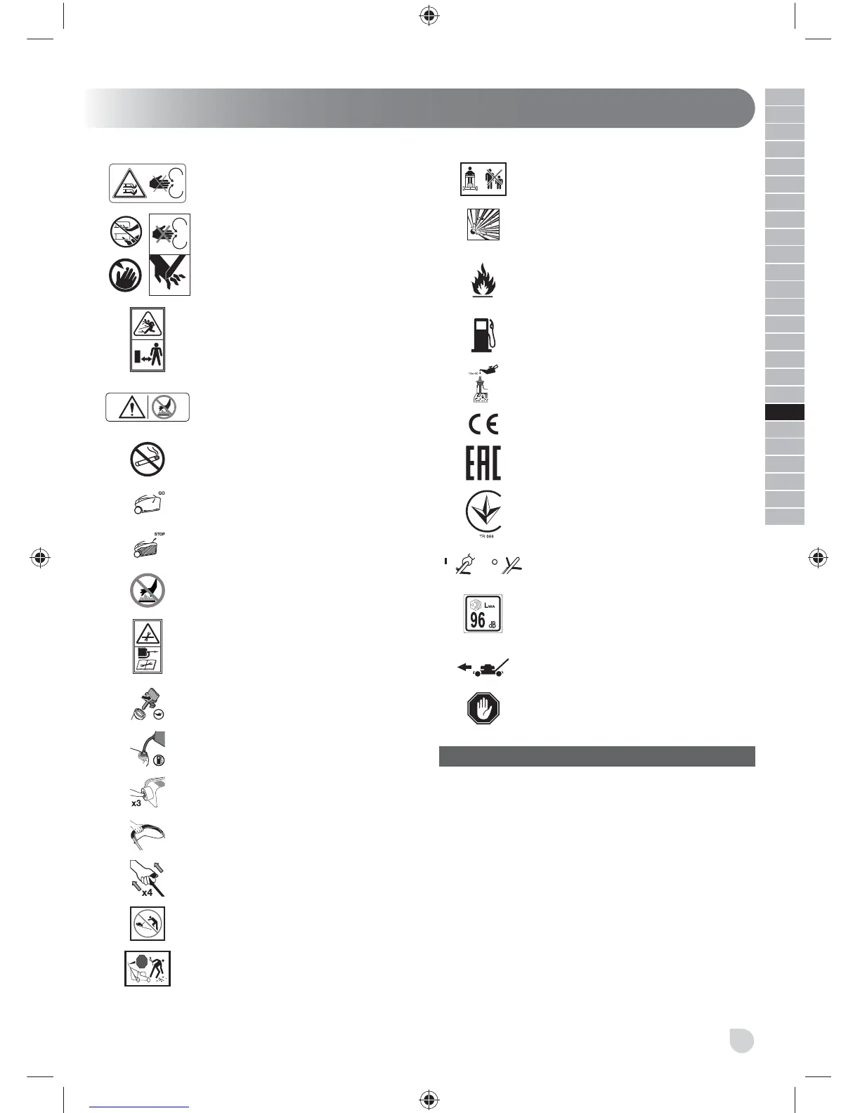 Page #231 background image
