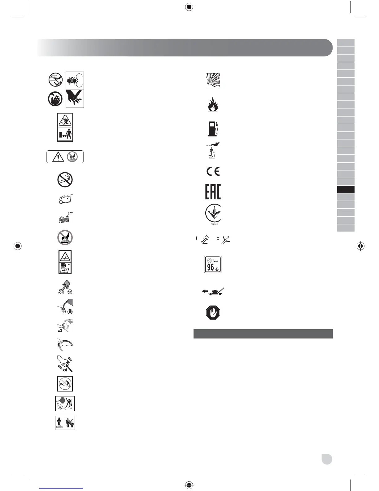 Page #243 background image