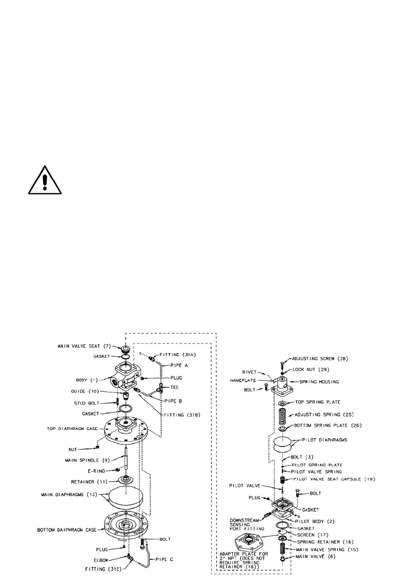 Page #6 background image