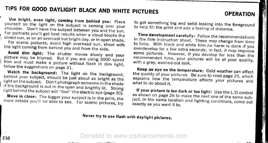 Page #19 background image