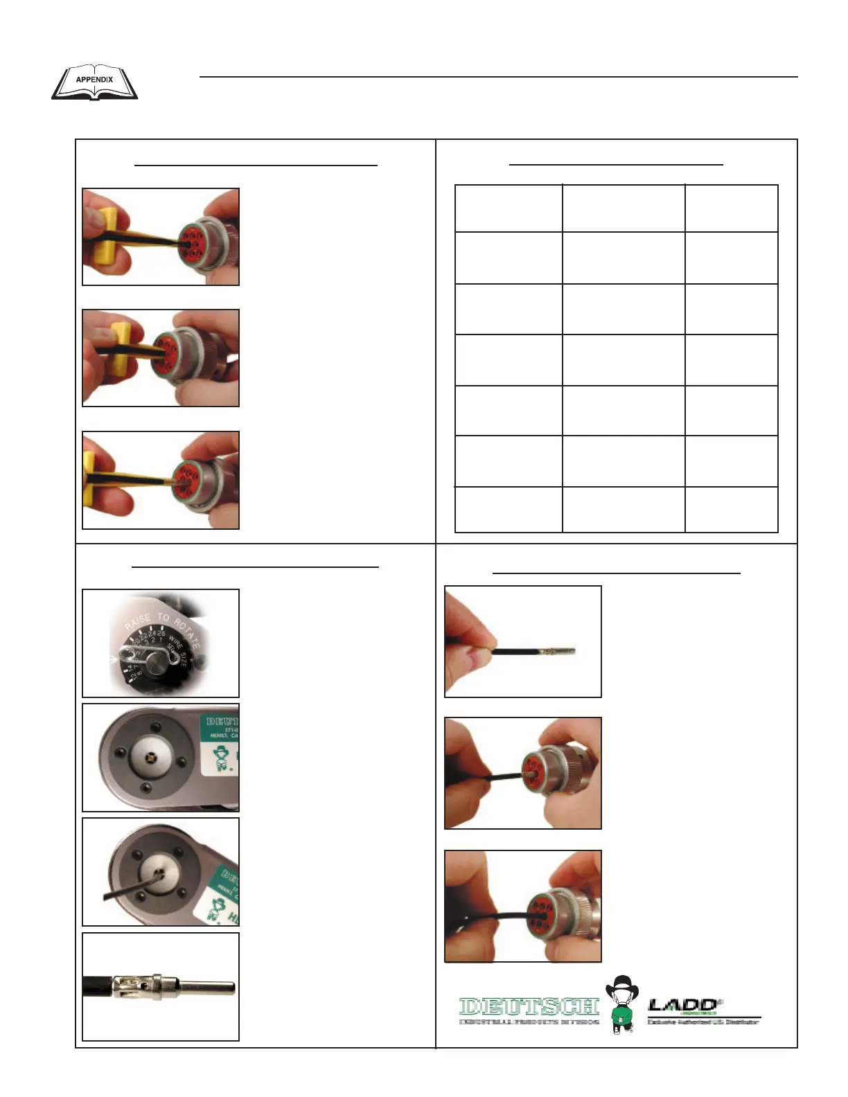 Page #38 background image