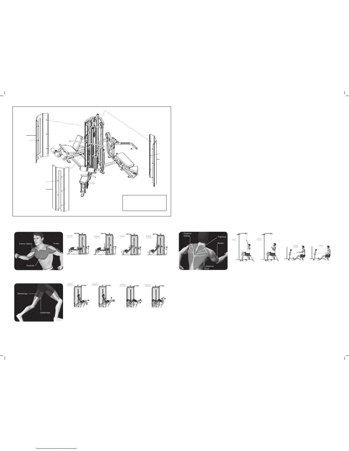 Page #4 background image