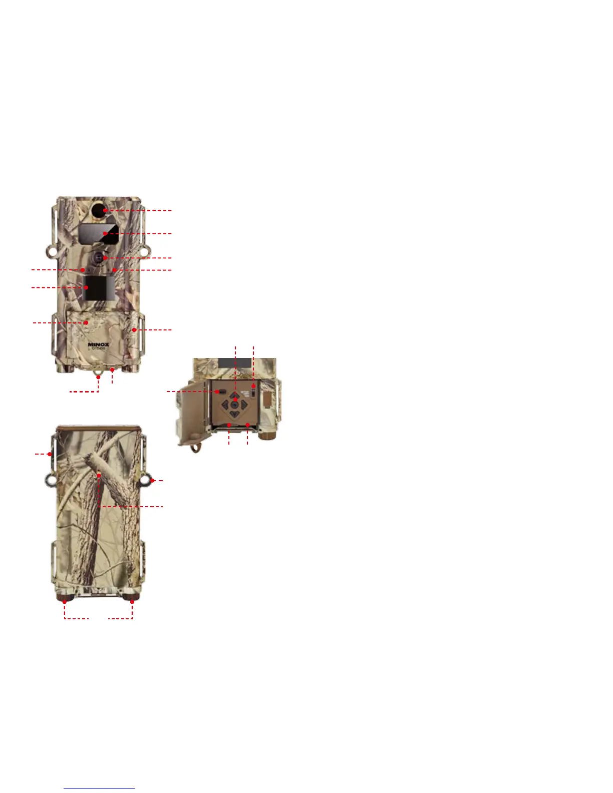 Page #4 background image