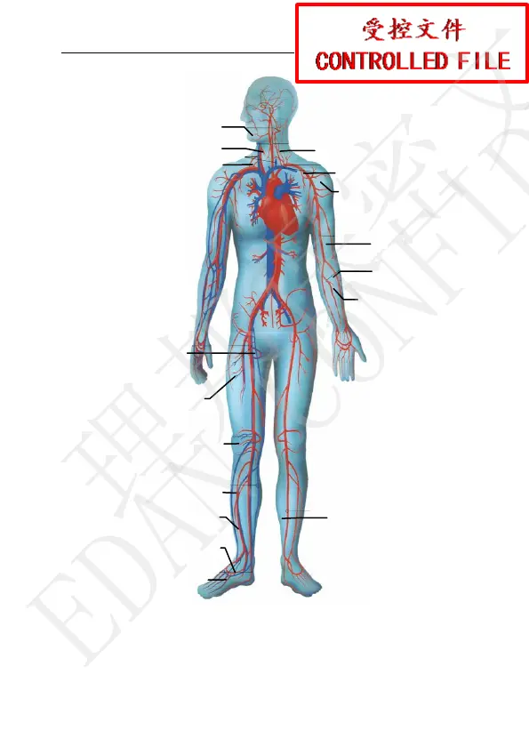Page #65 background image