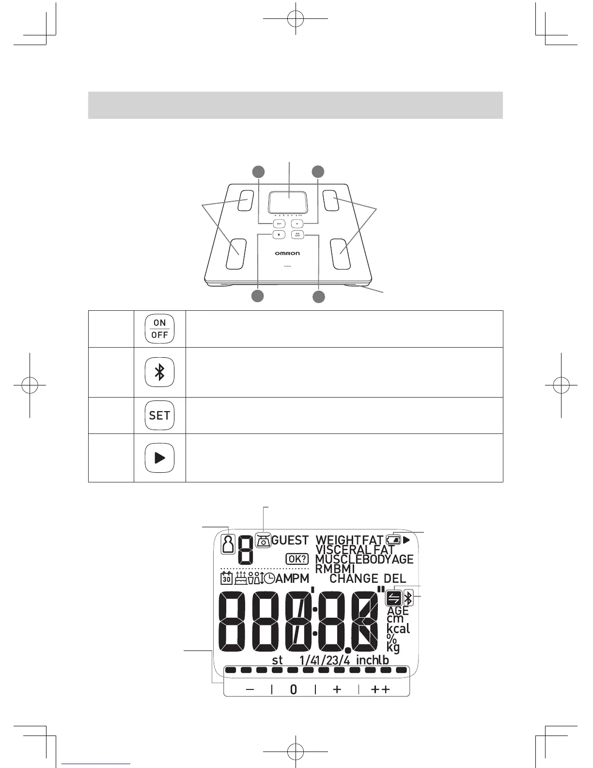 Page #5 background image