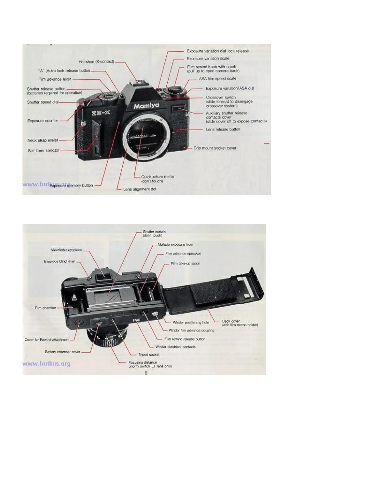 Page #6 background image