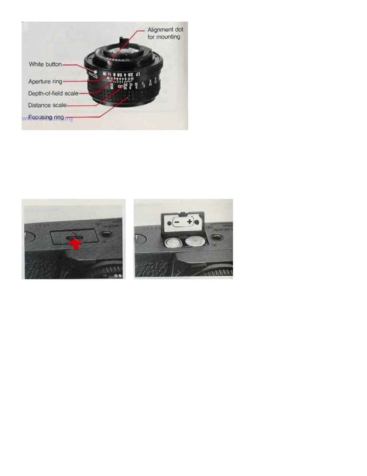 Page #7 background image