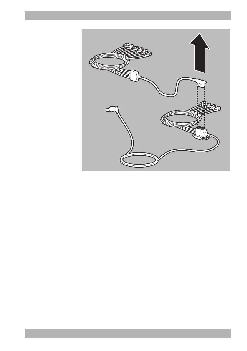 Page #225 background image