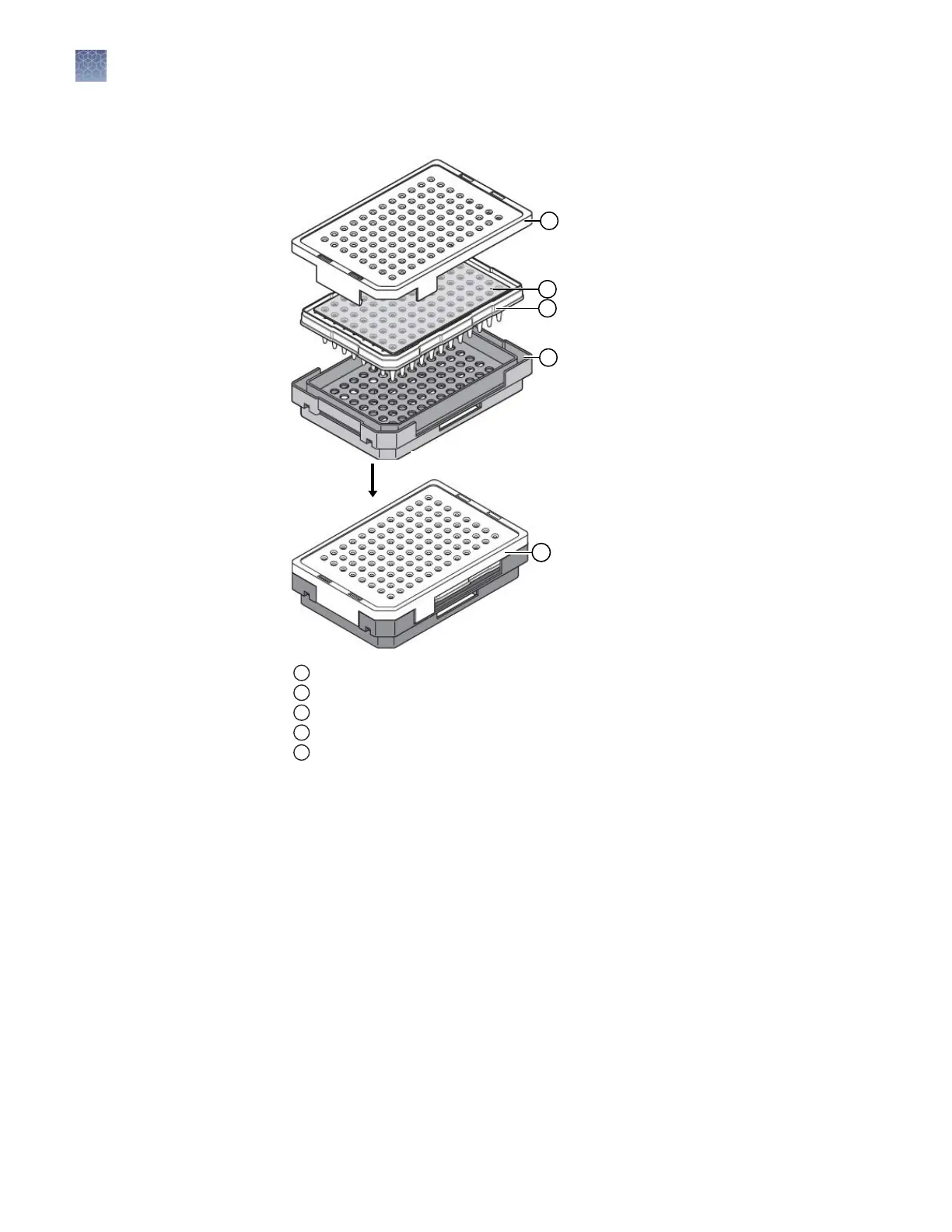 Page #42 background image