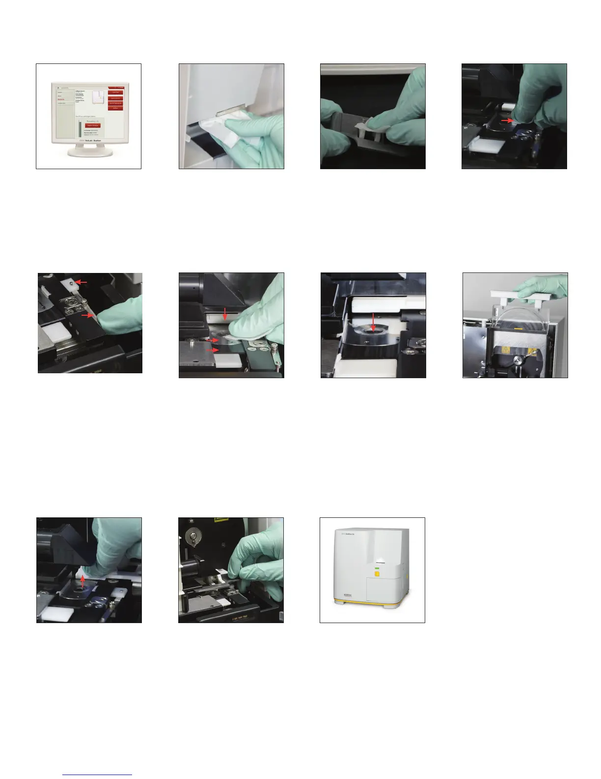 Page #4 background image