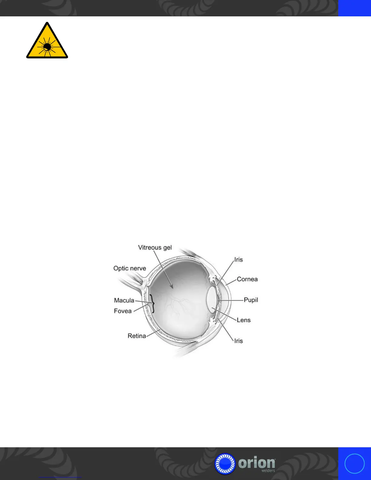 Page #13 background image