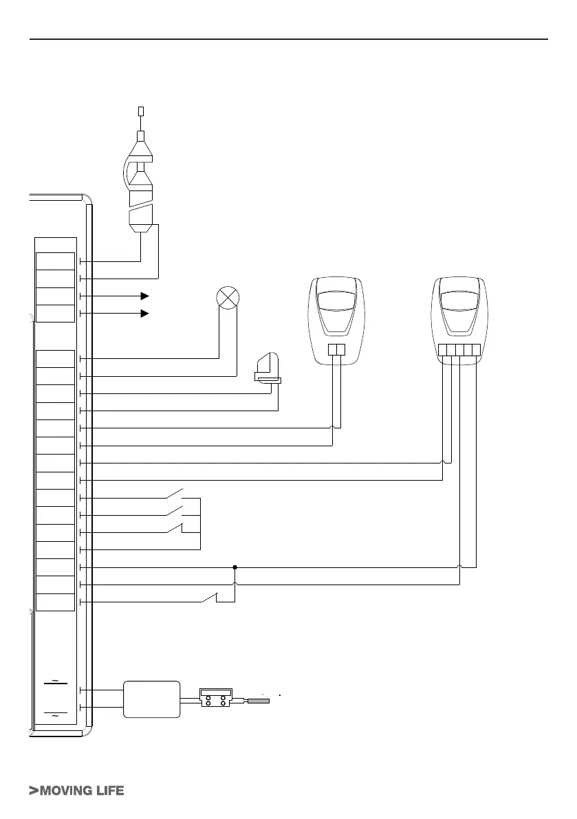 Page #3 background image