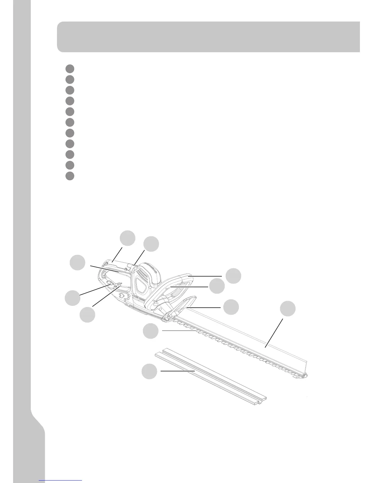 Page #13 background image