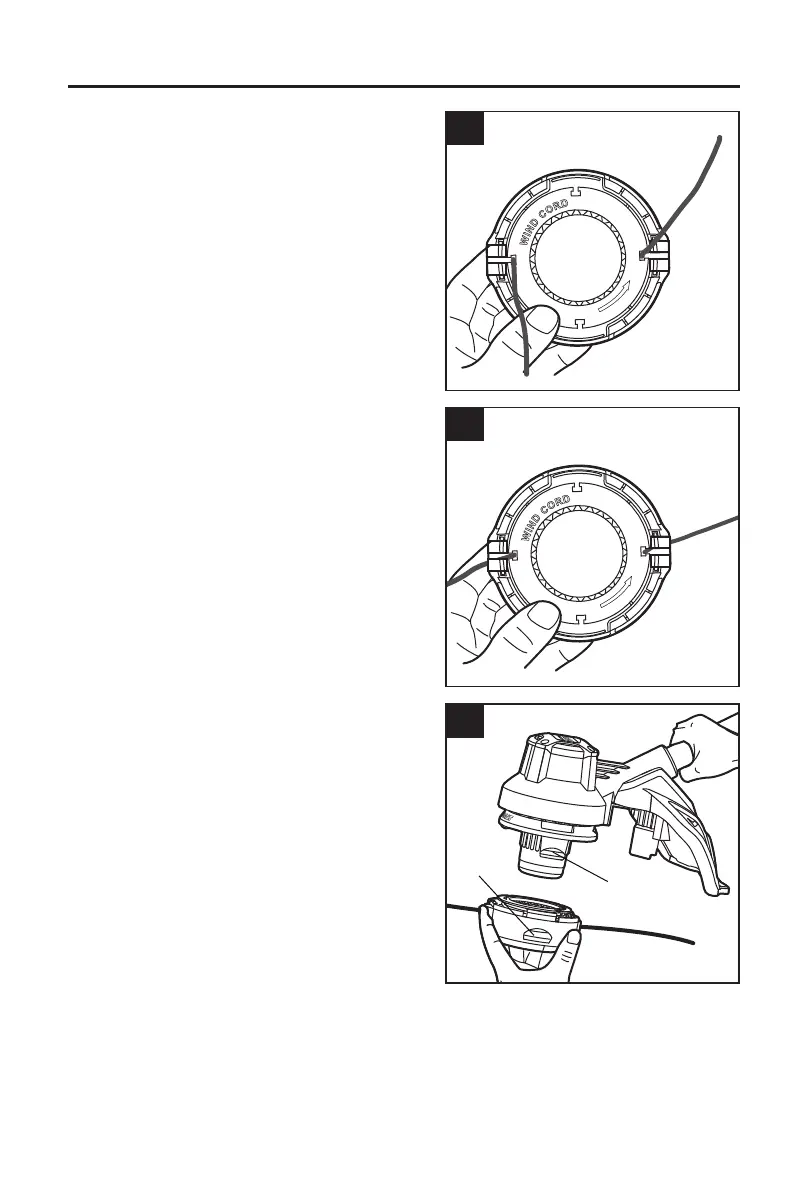 Page #43 background image