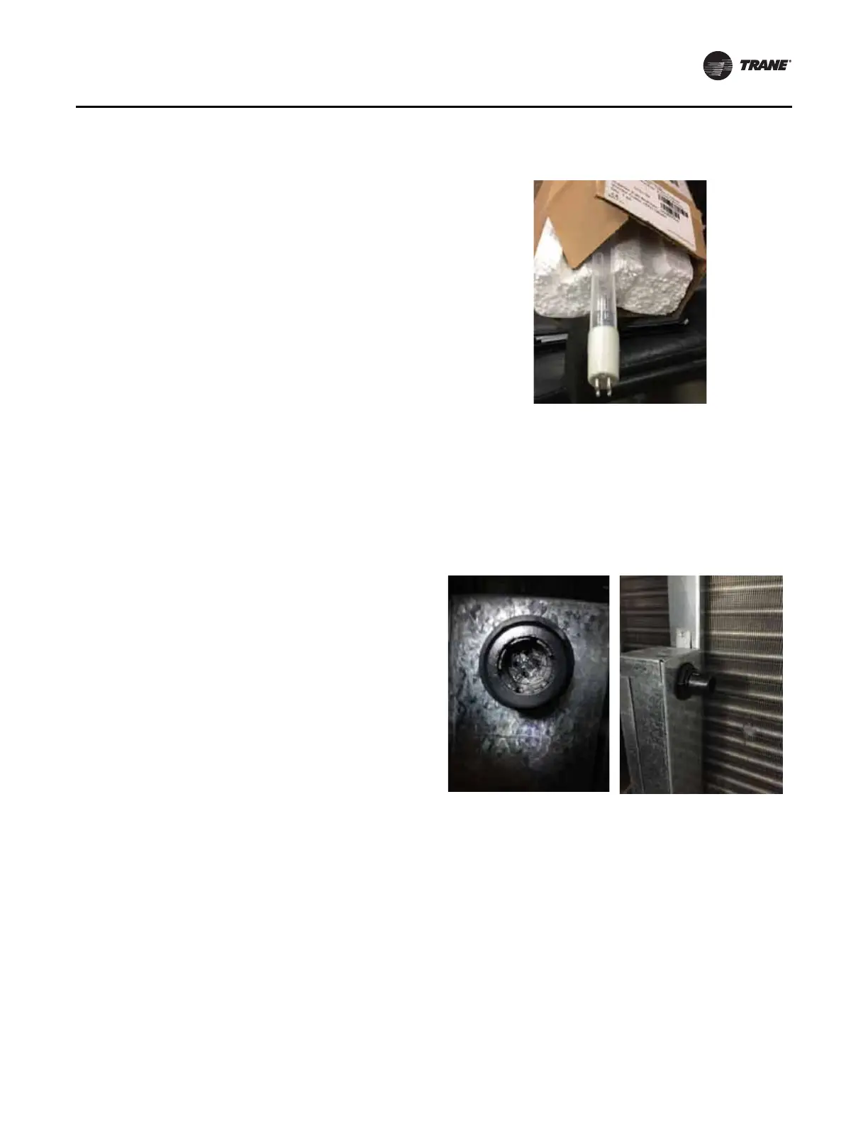 Page #163 background image
