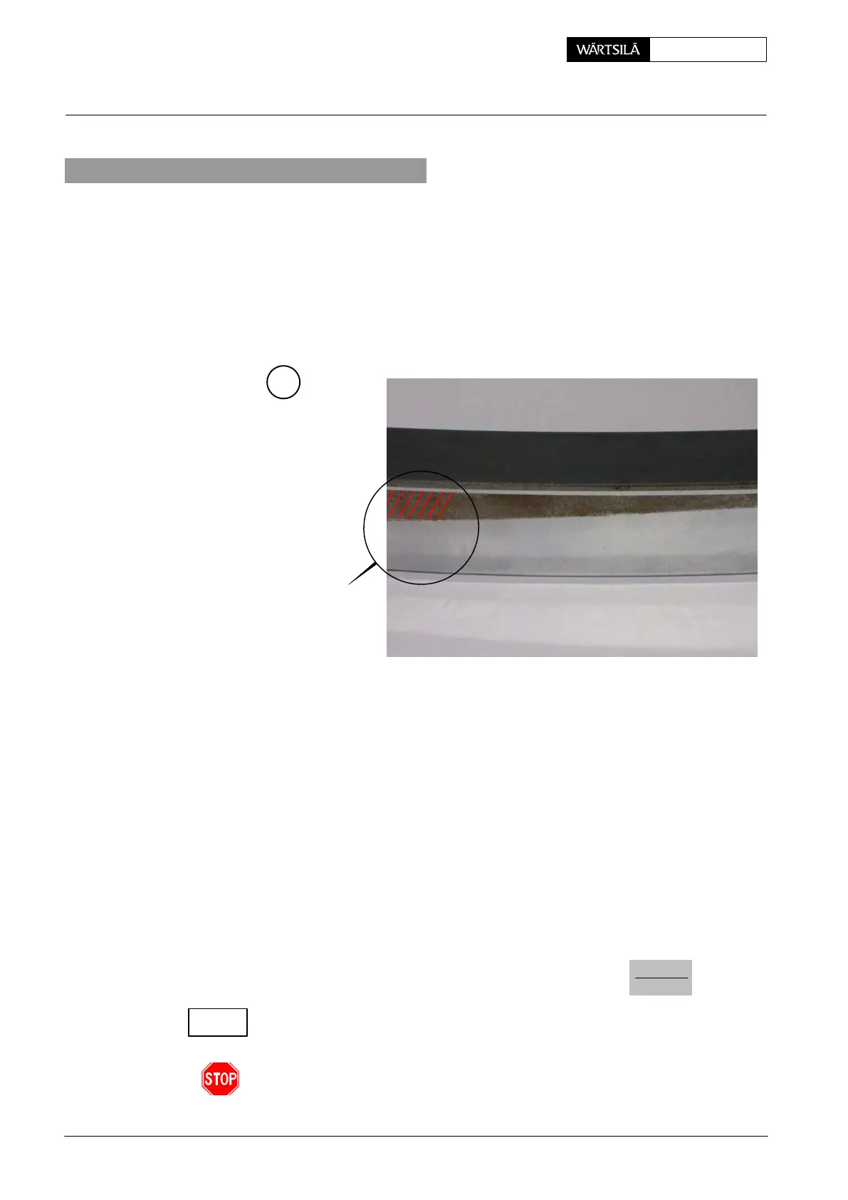 Page #304 background image