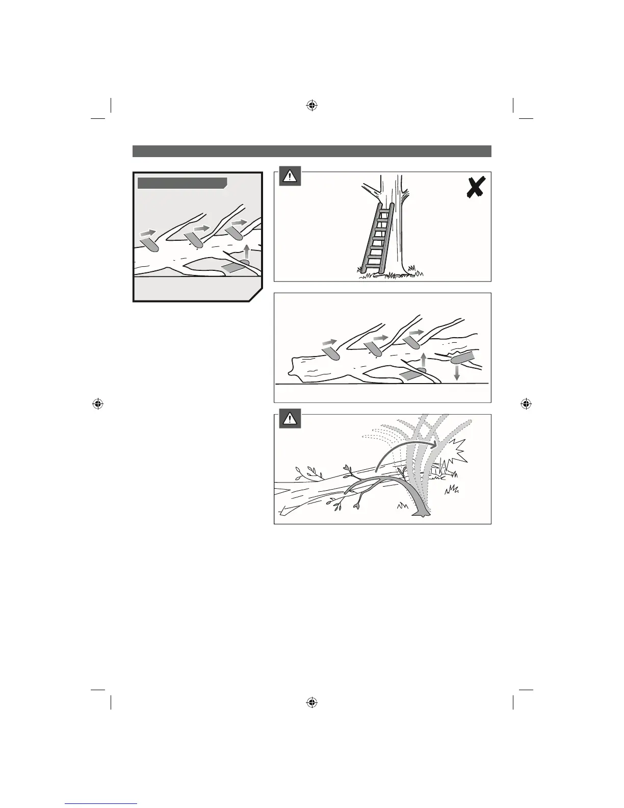 Page #24 background image