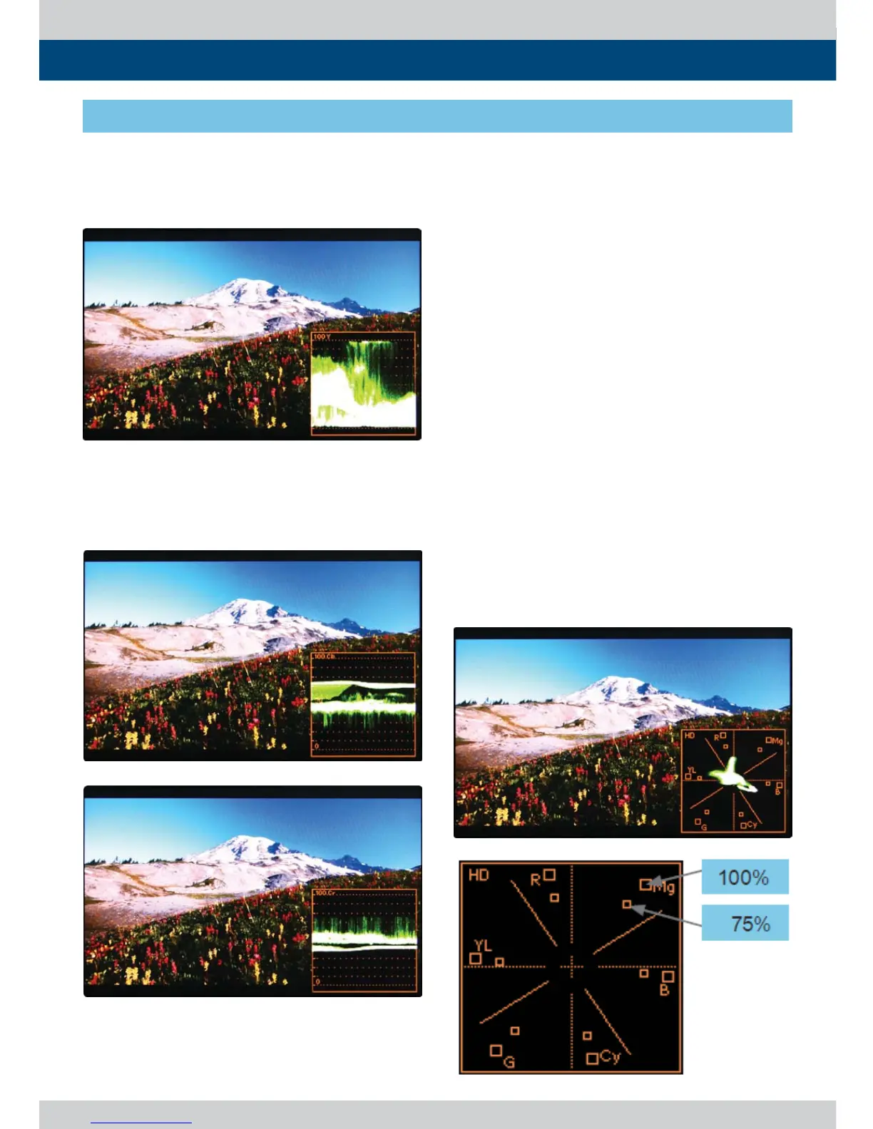 Page #25 background image