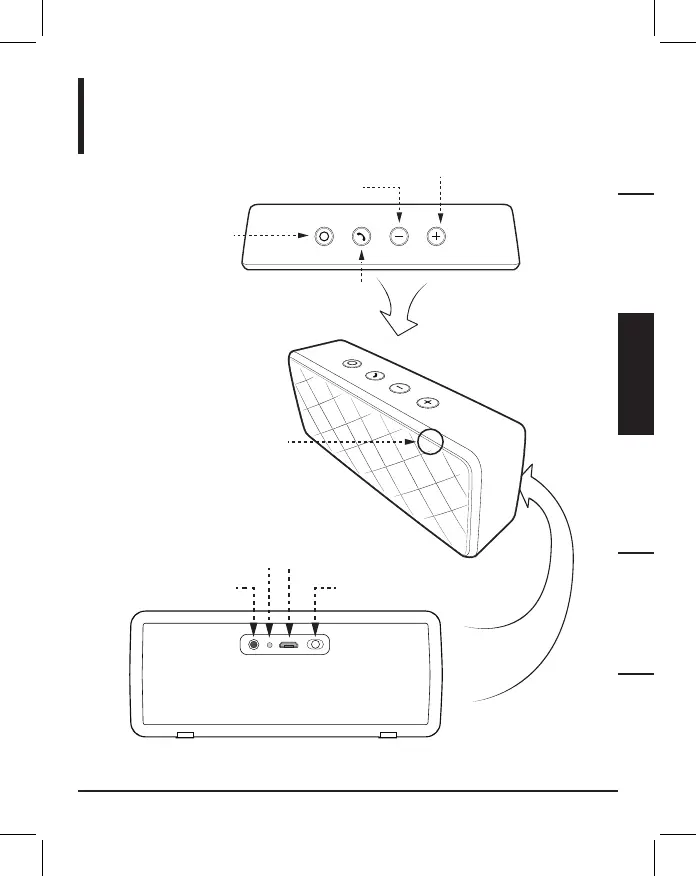Page #29 background image