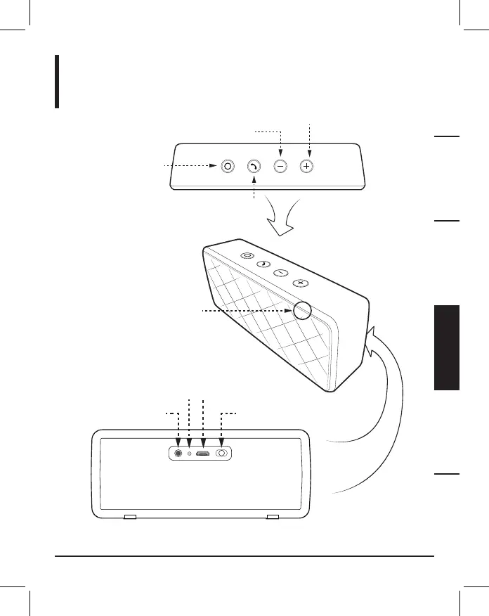Page #41 background image
