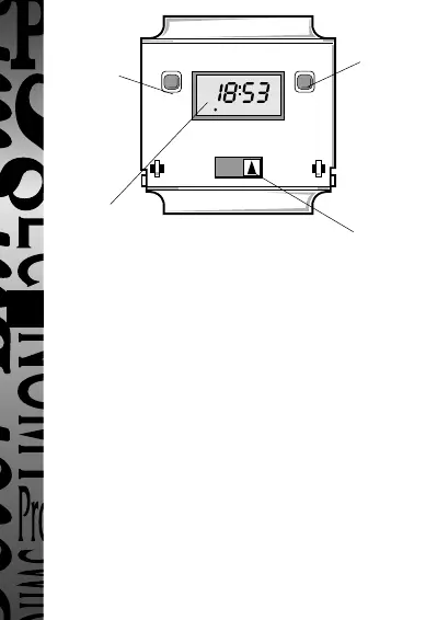 Page #2 background image